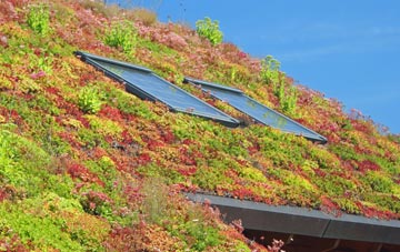 Southover living roof systems