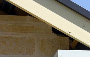 soffit repair Southover